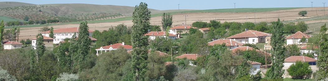 Koşker Kasabası Resimleri